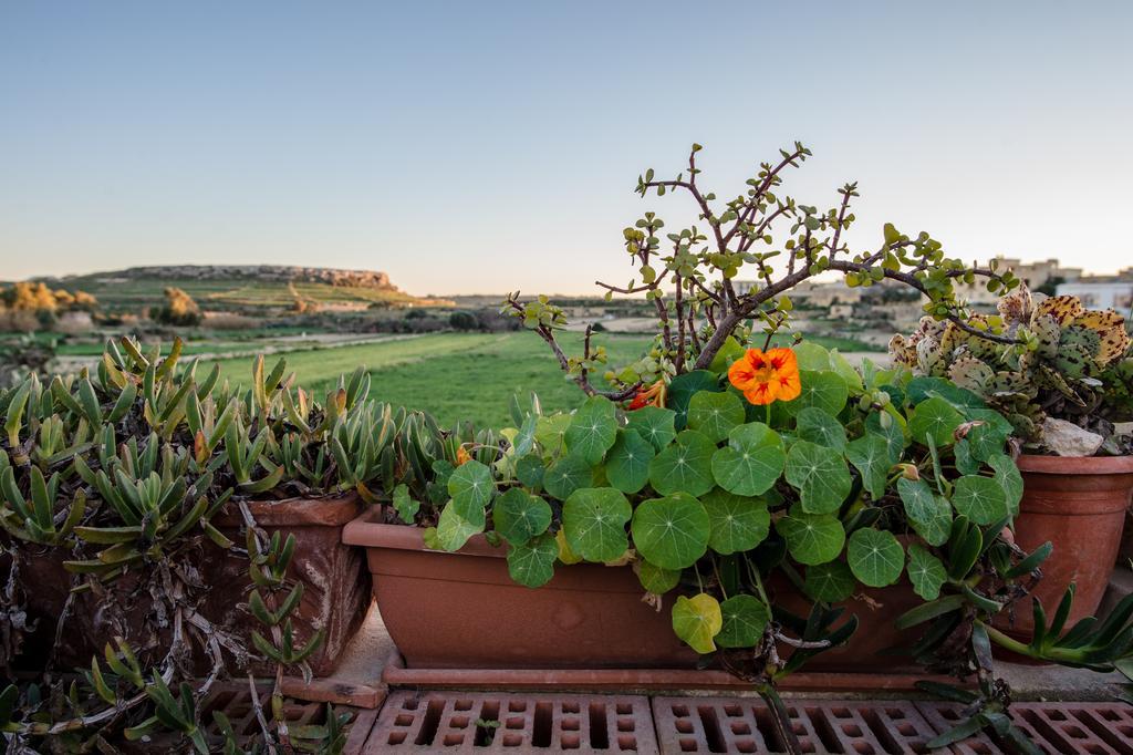 Villayana Holiday Home San Lawrenz Habitación foto